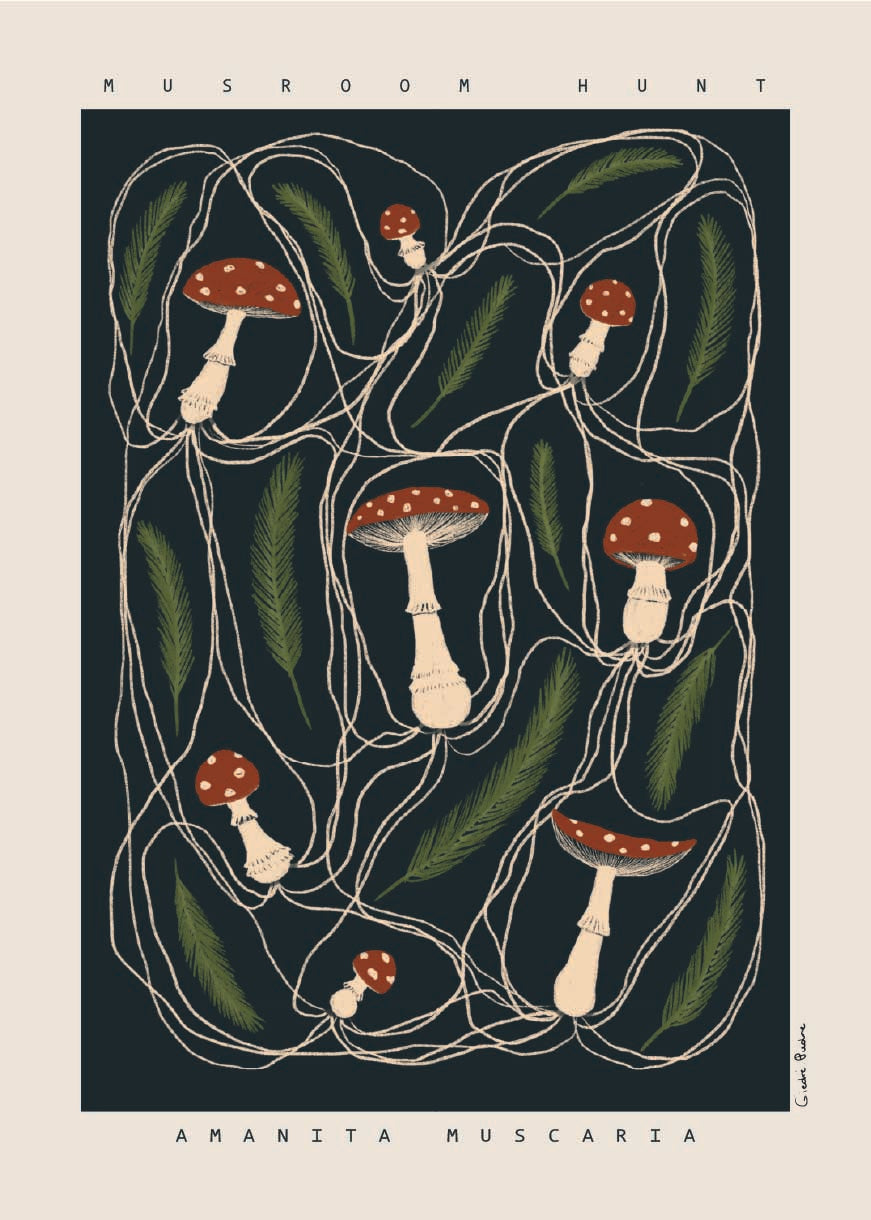 Artwork - Amanita muscaria