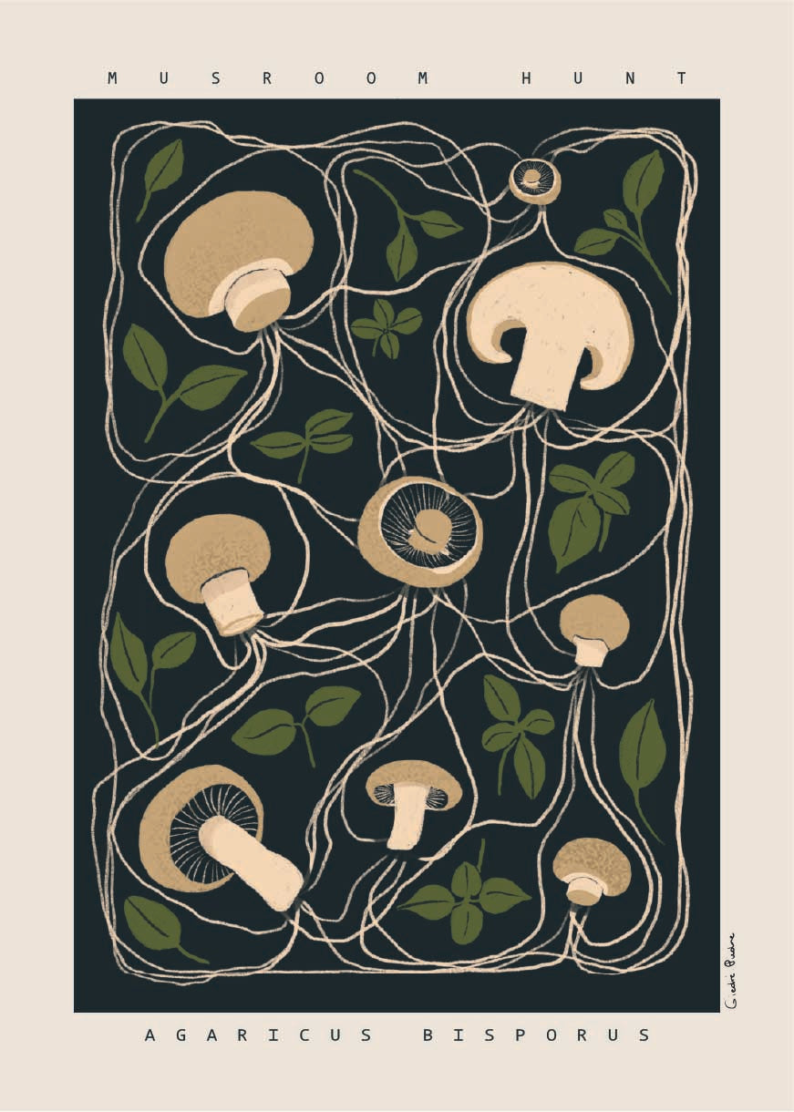 Artwork - Agaricus bisporus