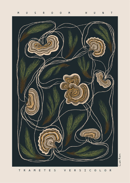 Artwork - Trametes versicolor