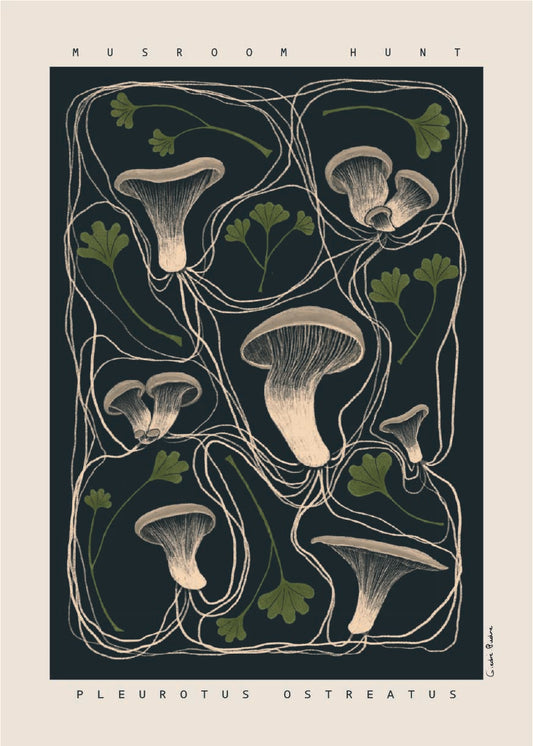 Artwork - Pleurotus ostreatus