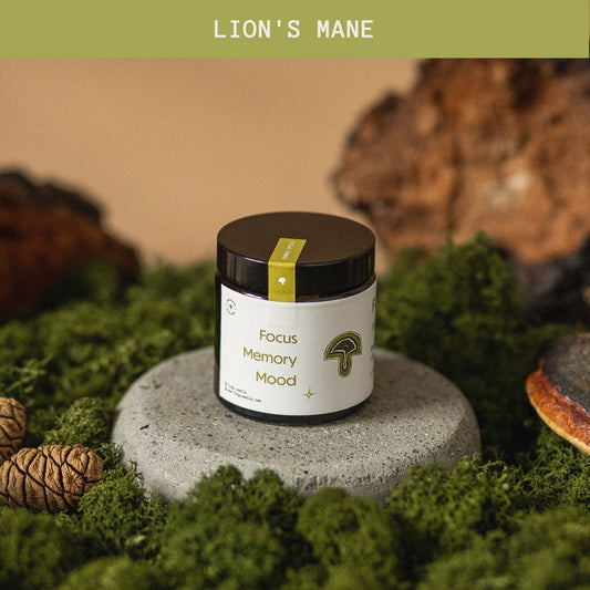 Lion's Mane powder extract